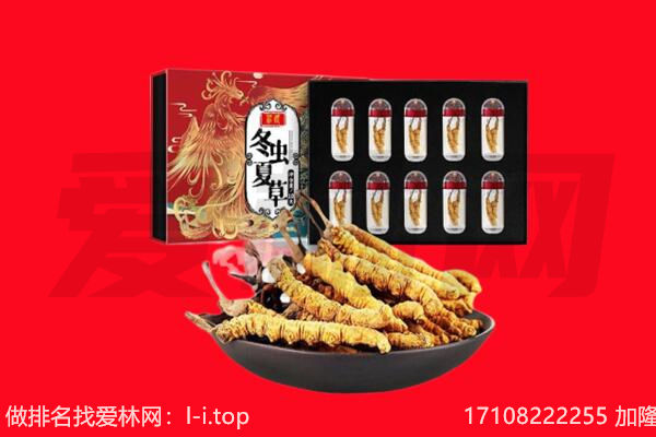青山区回收虫草.jpg